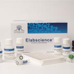 Elabscience Human RBP4(Retinol Binding Protein 4) Elisa Kit