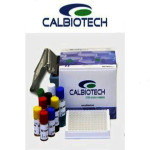 Calbiotech Cardiolipin IgG ELISA