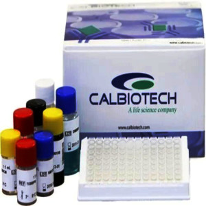 Calbiotech Cardiolipin IgG ELISA