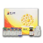 BT Labs Human Cancer Antigen 27-29 ELISA