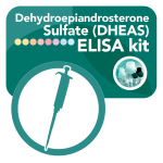 DBC Dehydroepiandrosterone Sulfate (DHEAS) ELISA