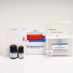 Elabscience Total Oxidant Status (TOS) Colorimetric Assay Kit