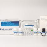 Elabscience VB6(Vitamin B6) Elisa Kit