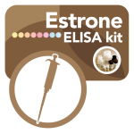 DBC Estrone ELISA