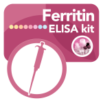 DBC Ferritin Elisa