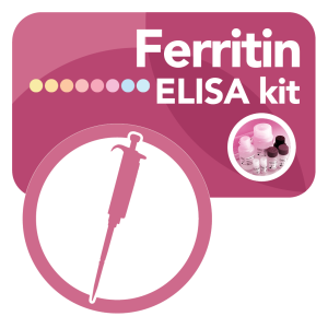 DBC Ferritin Elisa