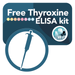 DBC Free Thyroxine (fT4 Free) Elisa